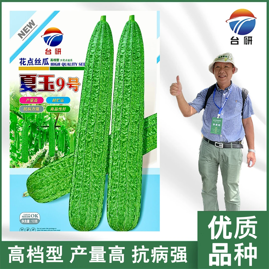 台研夏玉9号花点丝瓜早熟抗性强适应广丰产好春夏秋季均可播种