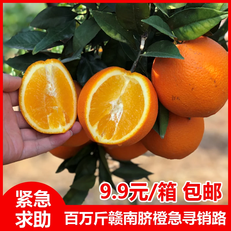 助农江西赣南脐橙新鲜3斤装原产地新鲜水果礼盒赣州发货原产地发