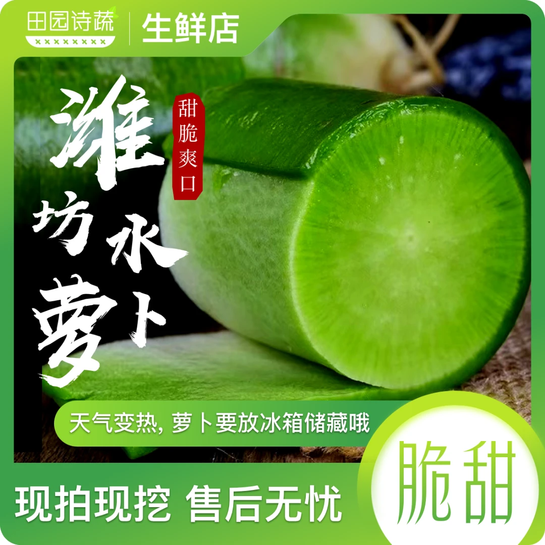 山东水果萝卜优质绿萝卜清脆多汁脆嫩现挖现发新鲜口感营养美味