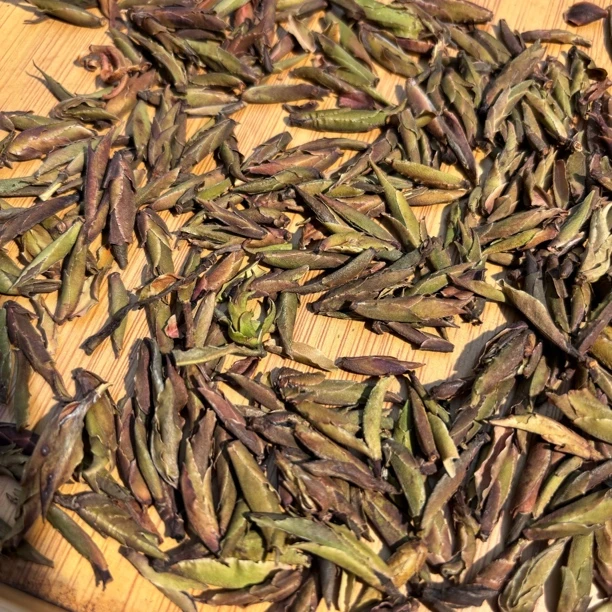 整顶山 4 号2019年野生古树紫芽苞 昌益茶叶