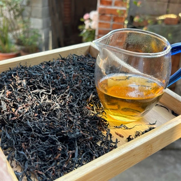 渣子树 8 号2024年野生单株古树红茶 昌益茶叶