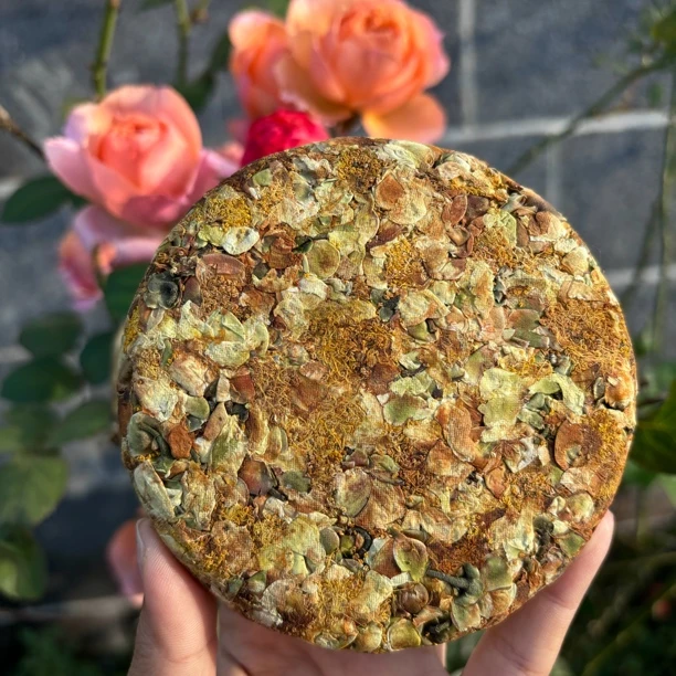 【茶花小饼-纯正花蜜香】-2024年古树茶花饼