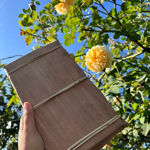 2015年【窜龙村-大叶种古树老白茶砖 】250克/砖