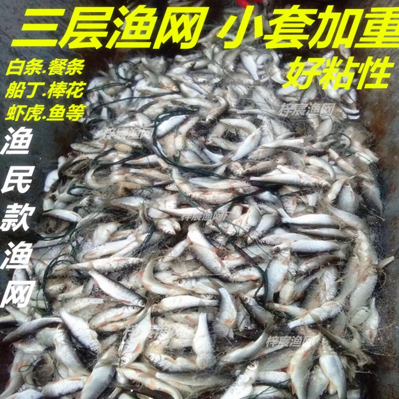 小鱼网渔网粘网餐条网丝网三层沉网浮网鱼网白条马口麦穗网捕鱼网