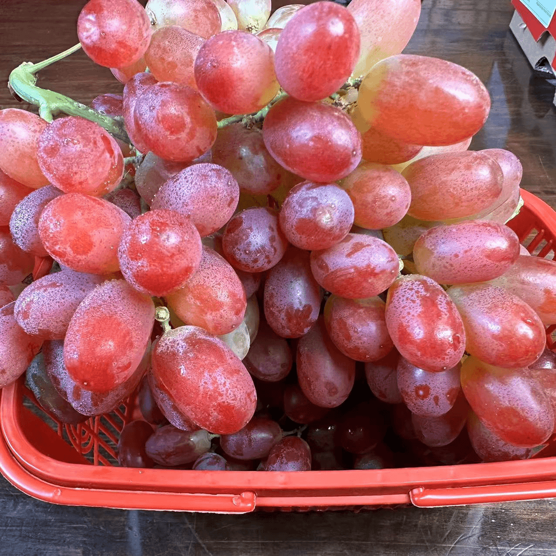 桐庐 无籽红提 2斤装