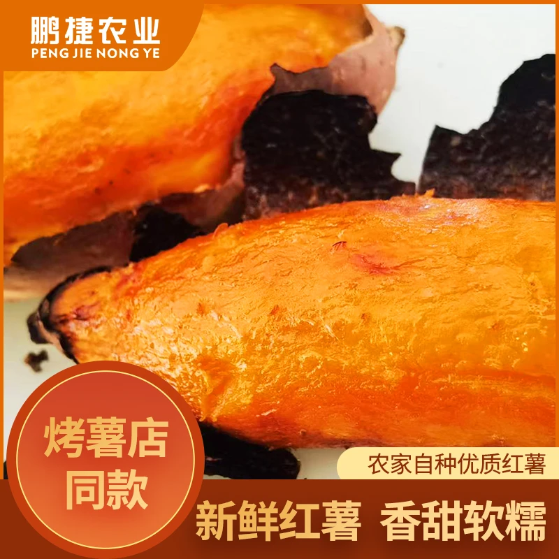 烟薯25蜜薯烤红薯烤地瓜严选优质美味糖心