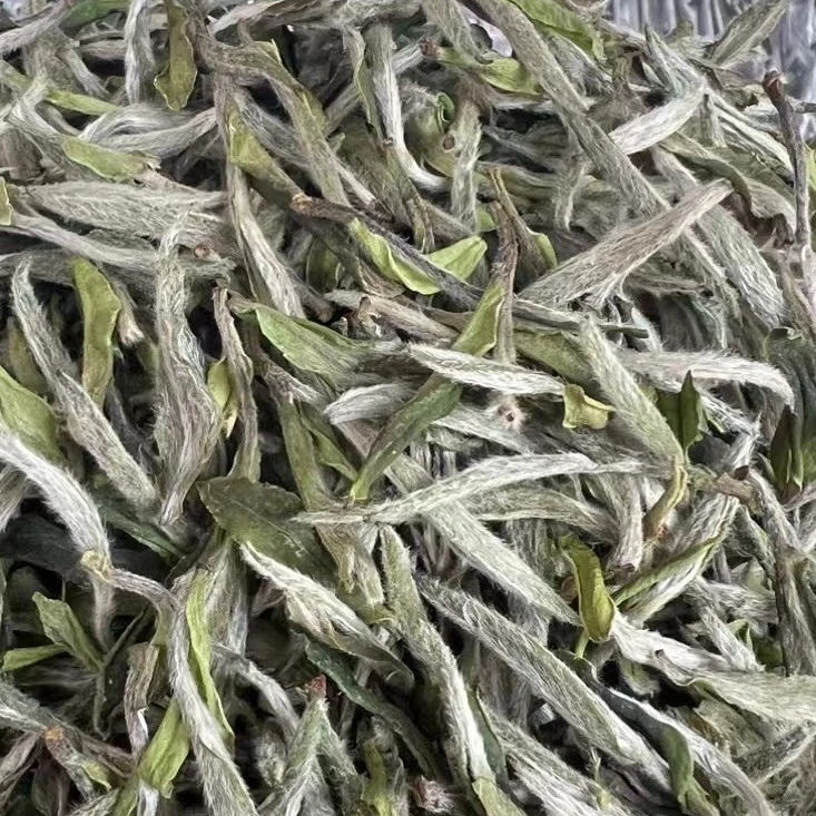 沉瑞香福鼎白茶2024年特级牡丹王散茶花香茶叶