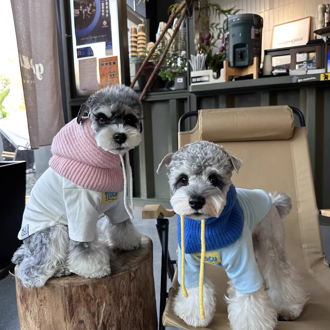 【48小时】狗狗头套可爱雪纳瑞围脖头套服饰【叁】