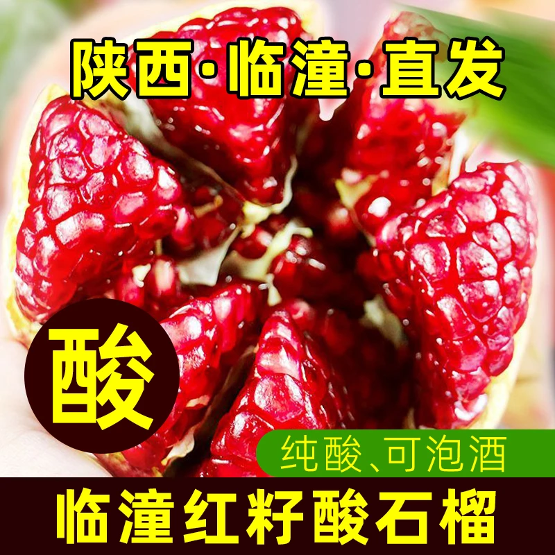 酸石榴新鲜纯酸特大大红籽硬籽水果陕西临潼特产酸爽可药用泡酒