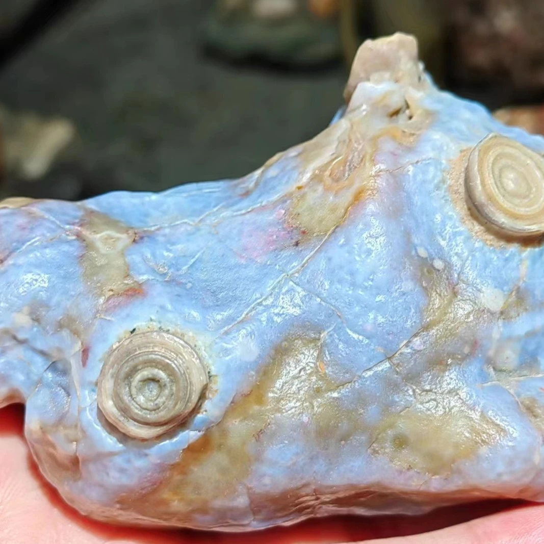 阿拉善艺术工艺品摆件手捏