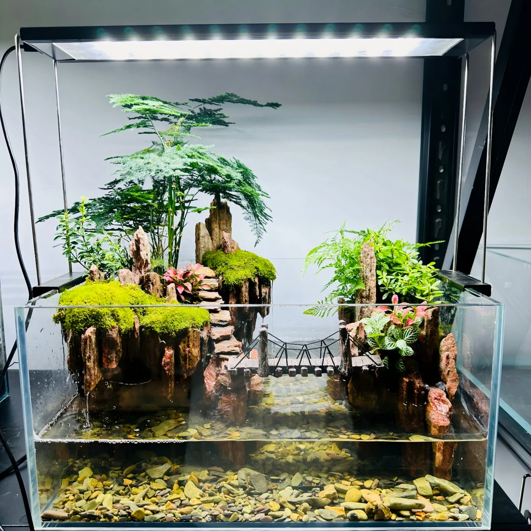40水陆缸鸿运石造景生态绿植苔藓微景观台阶小桥自然桌面养鱼摆件