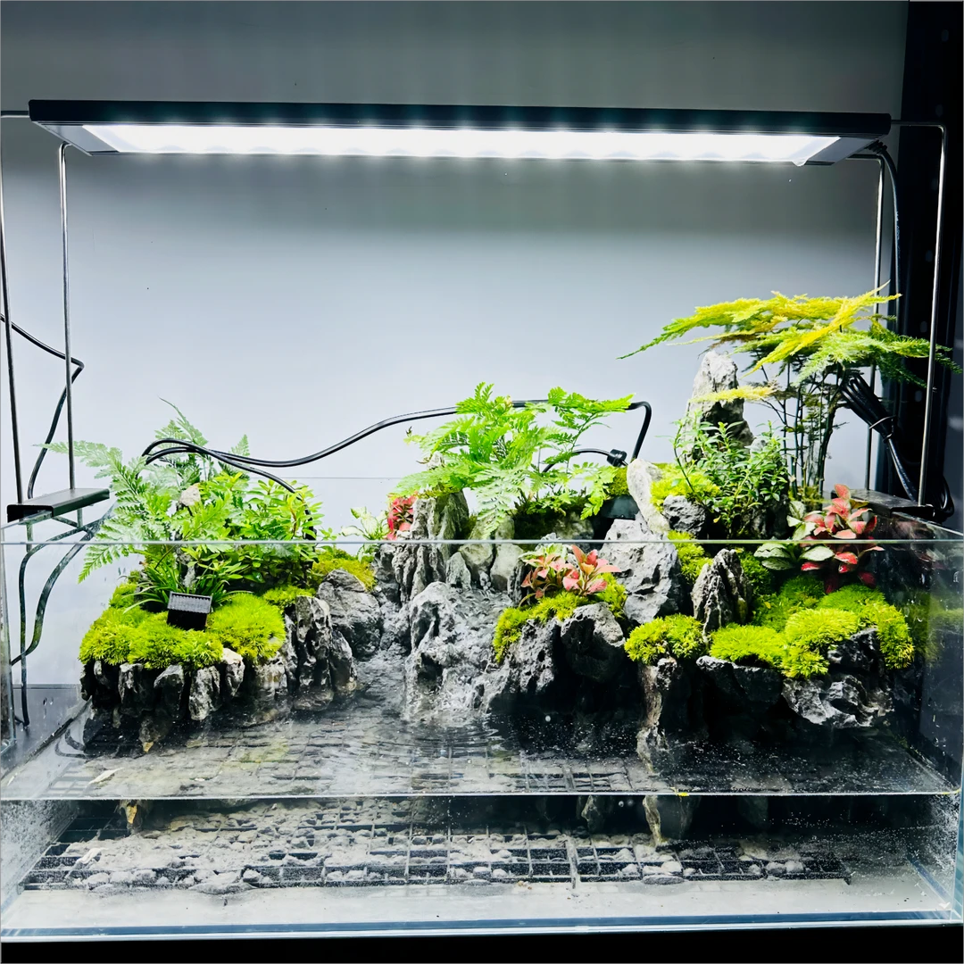 桌面生态水陆缸超白玻璃苔藓绿植微景观悬浮流水雾化造景养鱼观虾