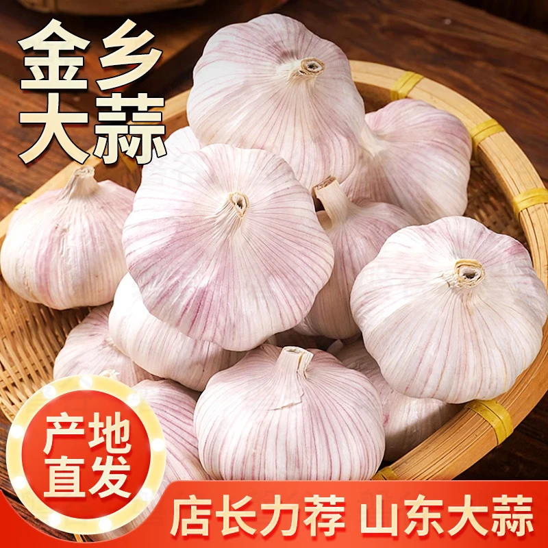 农家自种紫白皮大蒜可吃可种植大蒜头2025年新干蒜1斤3斤5斤