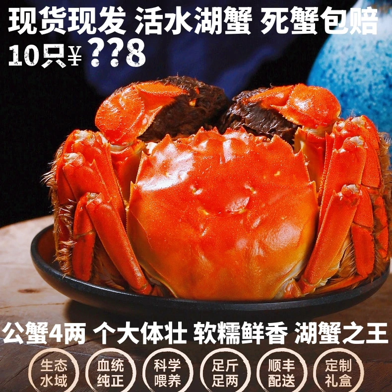 中秋高端螃蟹4两公蟹8只生态湖蟹精品活蟹精选6月大螃蟹黄包邮
