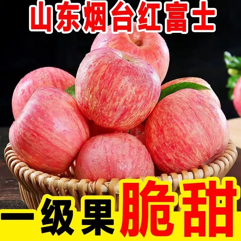 山东烟台富士苹果栖霞红富士苹果脆苹果冰糖心丑苹果不打蜡摘3斤