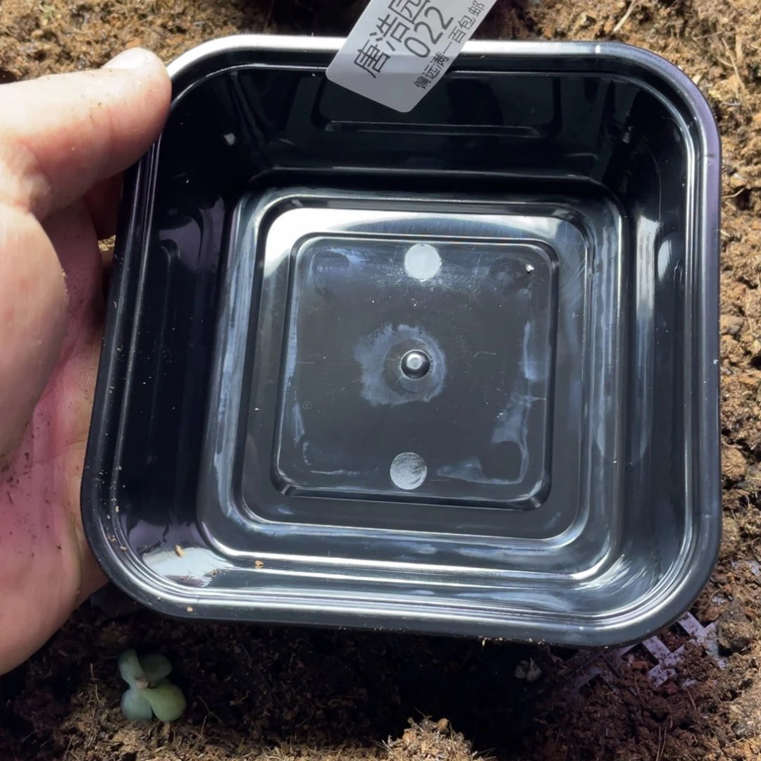 多****富遥遥领先一物一拍022