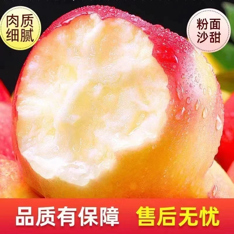 苹果好好吃 新鲜大苹果