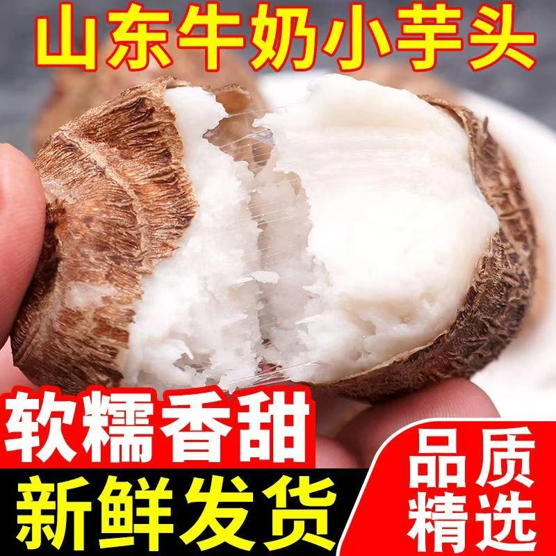 山东新鲜牛奶小芋头现挖现发优质芋头口感香糯精选3/5斤装