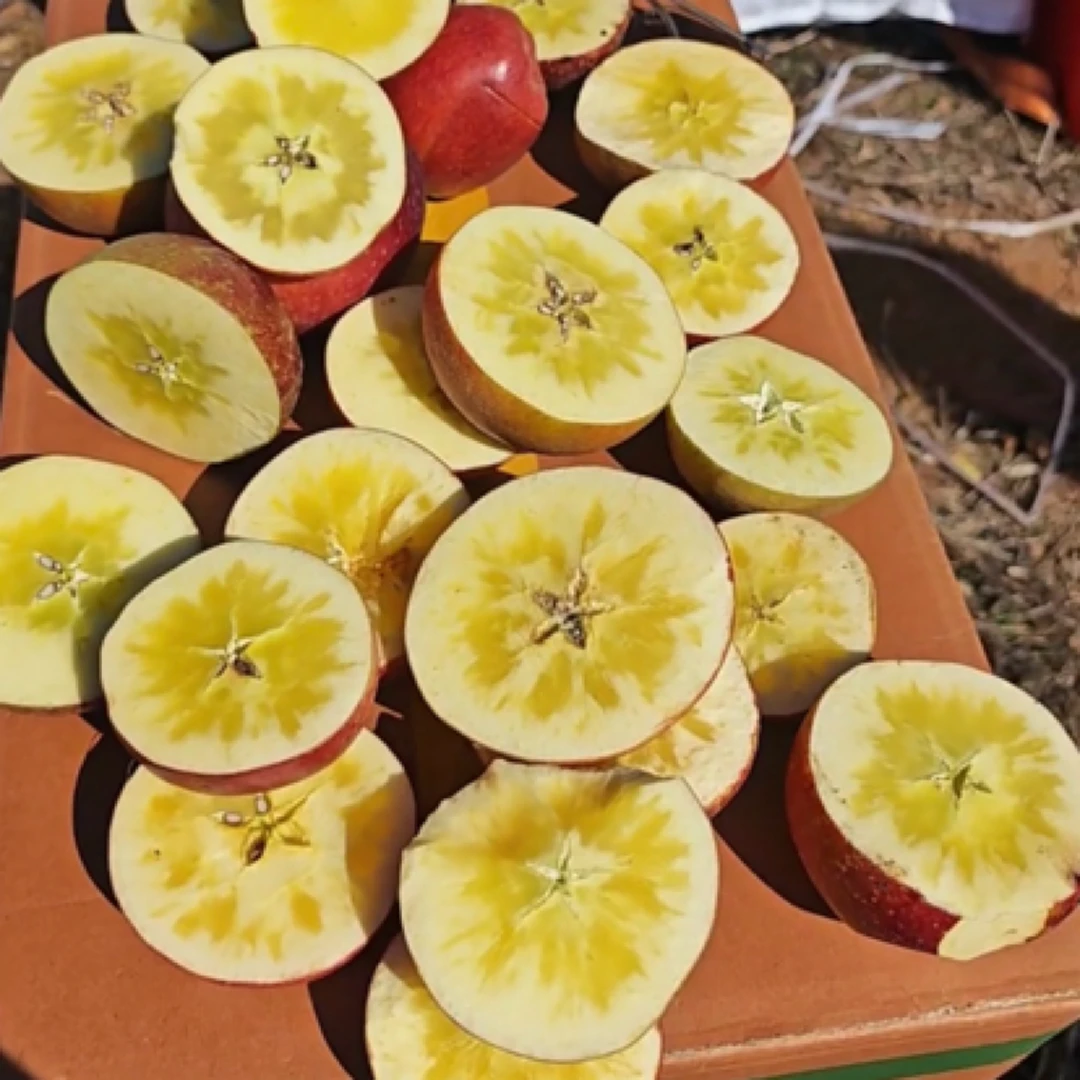 【产地现摘】保证糖心率发货正宗四川大凉山现摘冰糖心苹果正宗水果