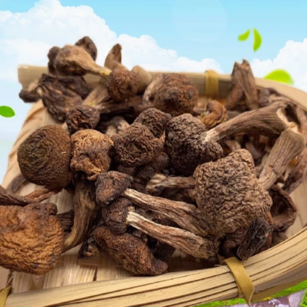 【老闺女甄选】东北榛蘑干货新货250g包邮特产无杂农家小鸡炖蘑菇