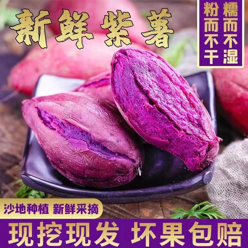 现挖优质紫薯新鲜沙地紫薯番粉糯香甜5斤红薯地瓜新鲜紫薯健康