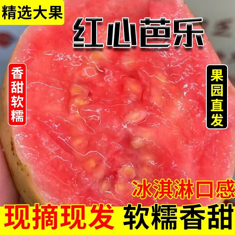 番石榴软香甜农产品红心芭乐1斤低脂细腻 新鲜水果生鲜香软鲜甜