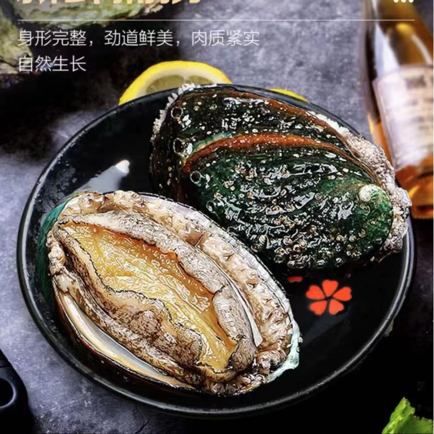 【顺丰发货】8-10头鲍长度5.5-6.5cm 东山岛深海鲍鱼 液氮速冻海鲜