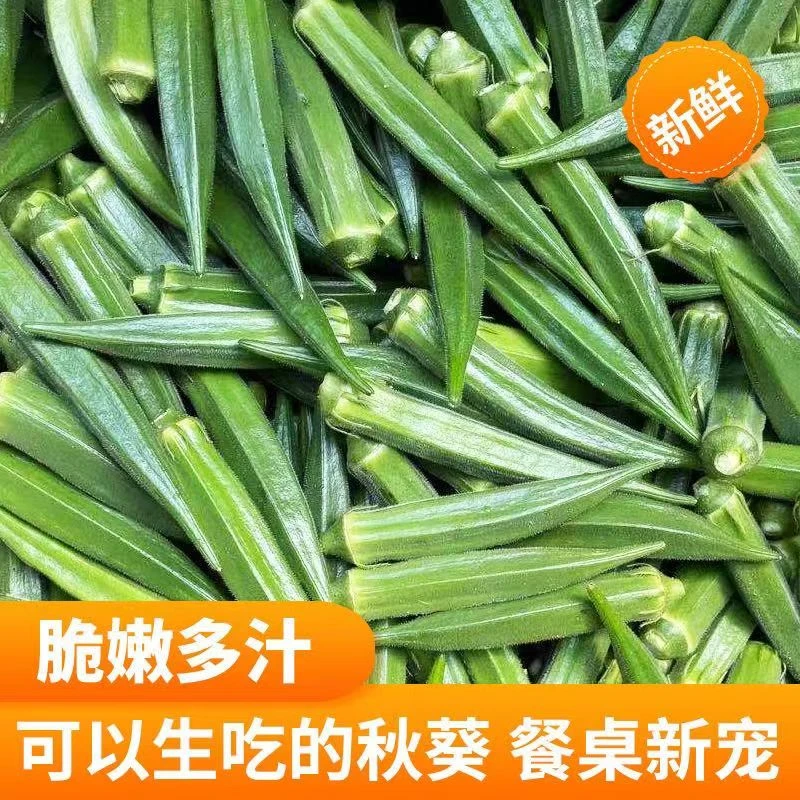 新鲜秋葵现摘现发买3斤送2斤农家种植