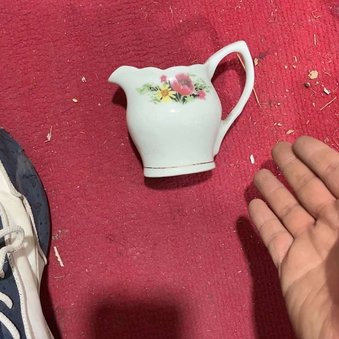 【闪购商品】陶瓷碟?****?