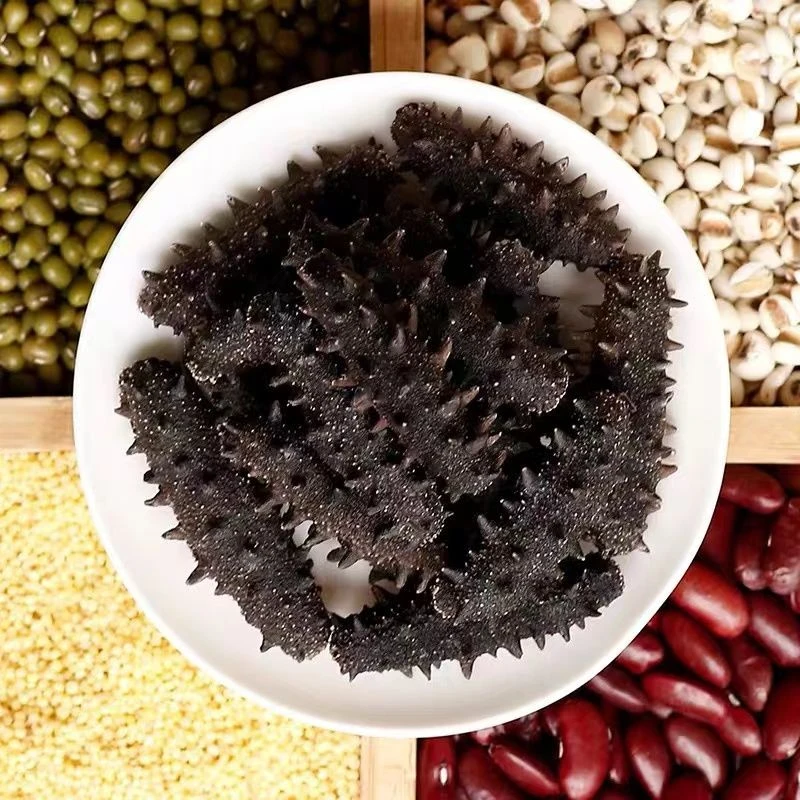【小妹力推】大连 国标 海参  低盐 500g 泡发率高
