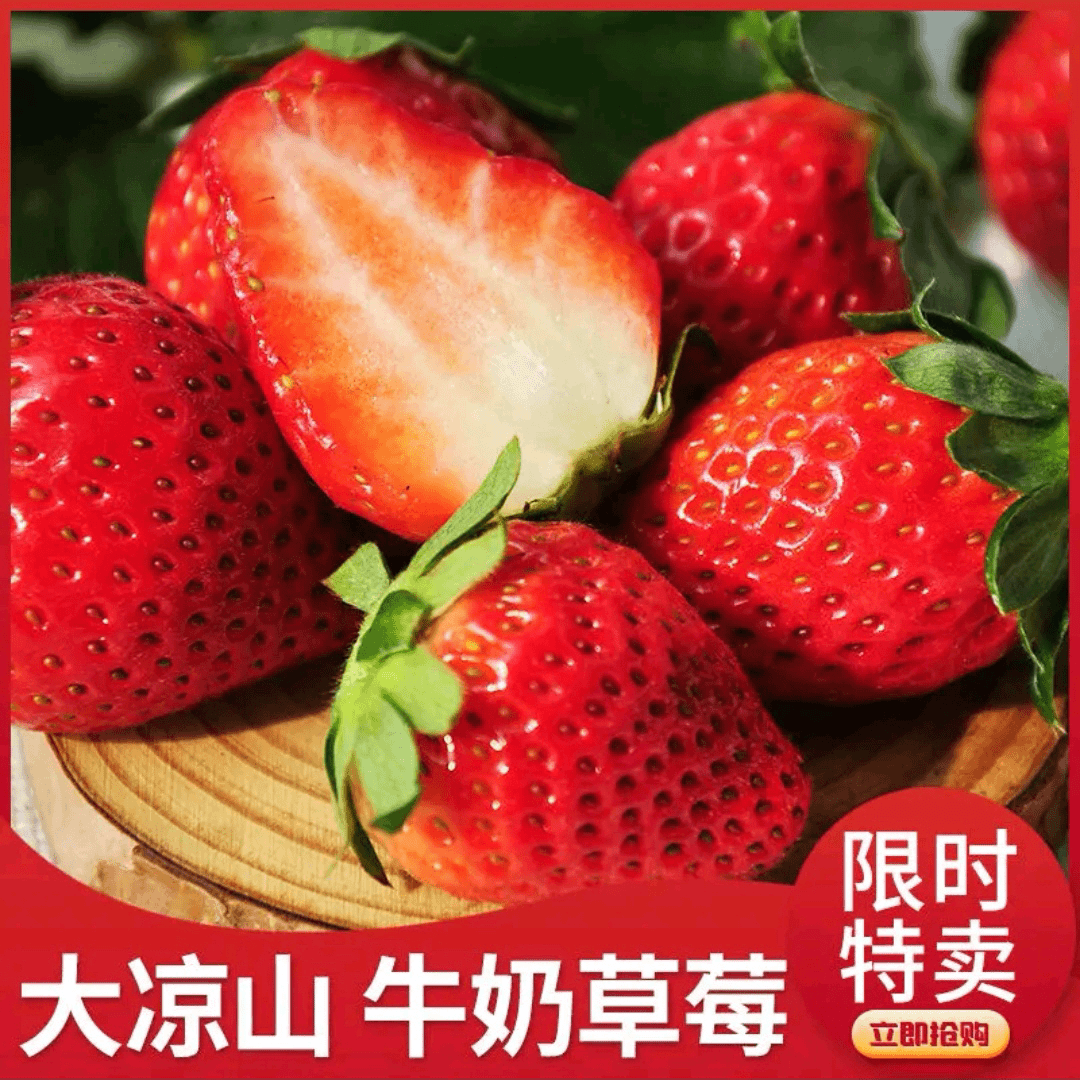 【顺丰陆运】四川大凉山牛奶草莓现采现摘软糯香甜颗颗爆汁新鲜冷藏