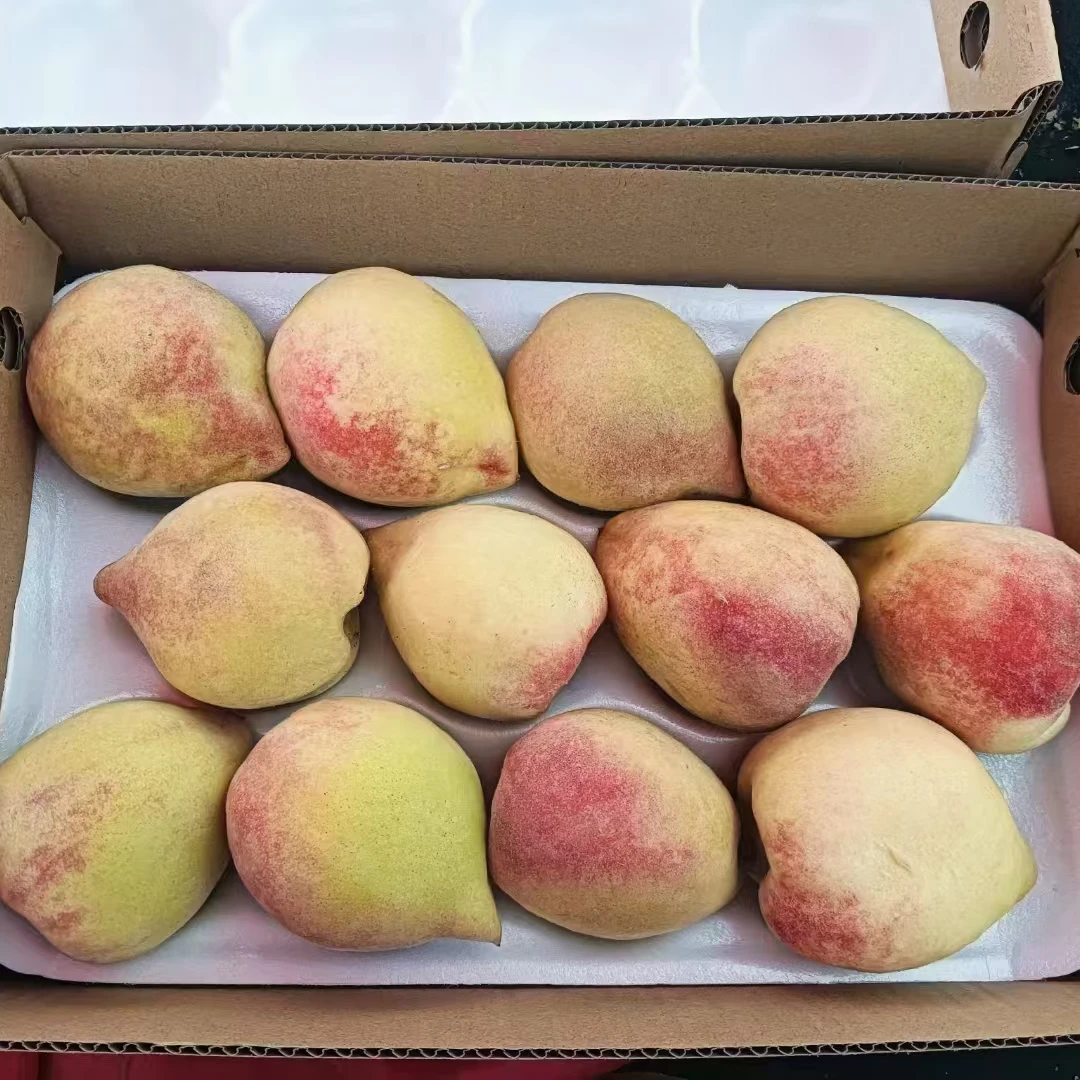 深州桃奴-水果-桃类