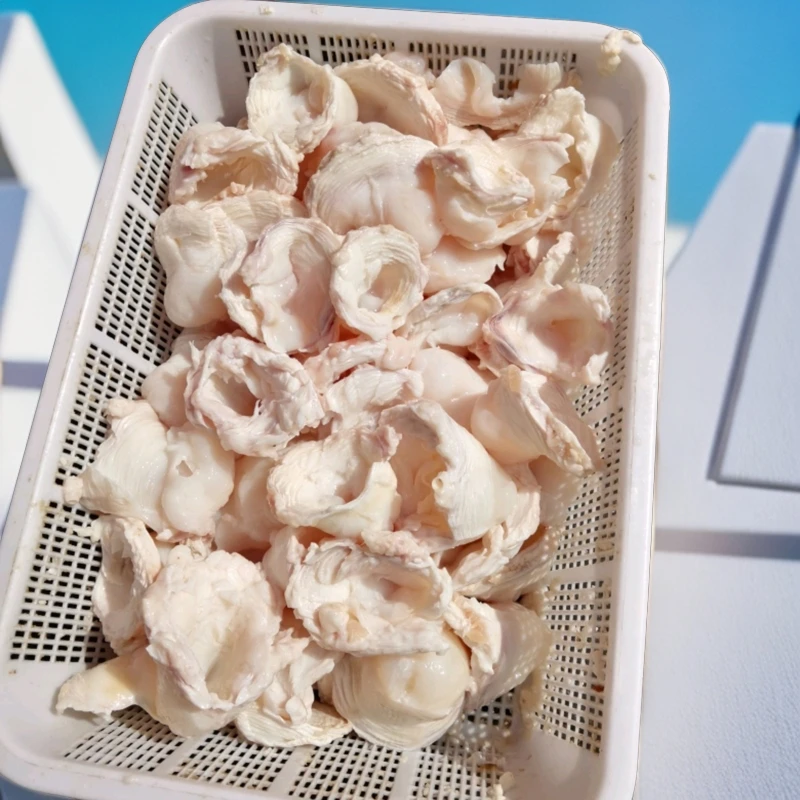 新鲜泡水牛骨膜烧烤骨膜骨垫多买包邮串涮肚饭店火锅屠宰场源头供