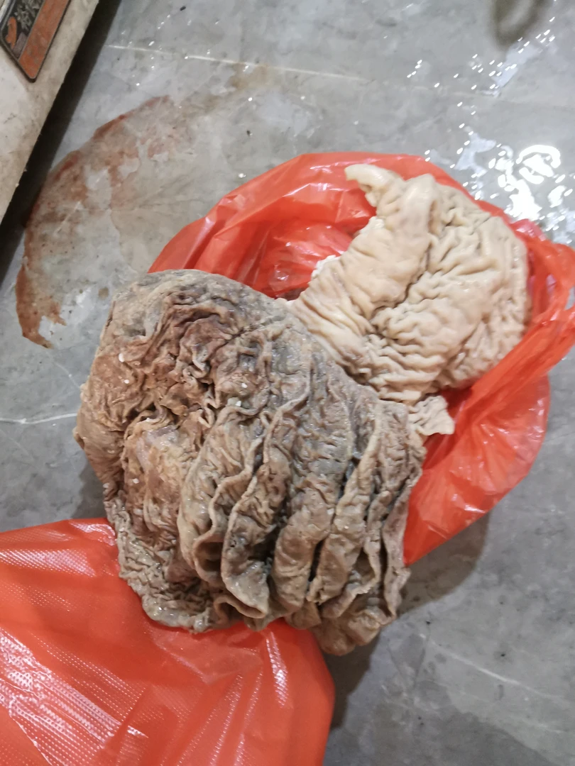 清真新鲜牛伞肚散养黄牛牛散带牛副牛杂屠宰场源头供批发零售3斤