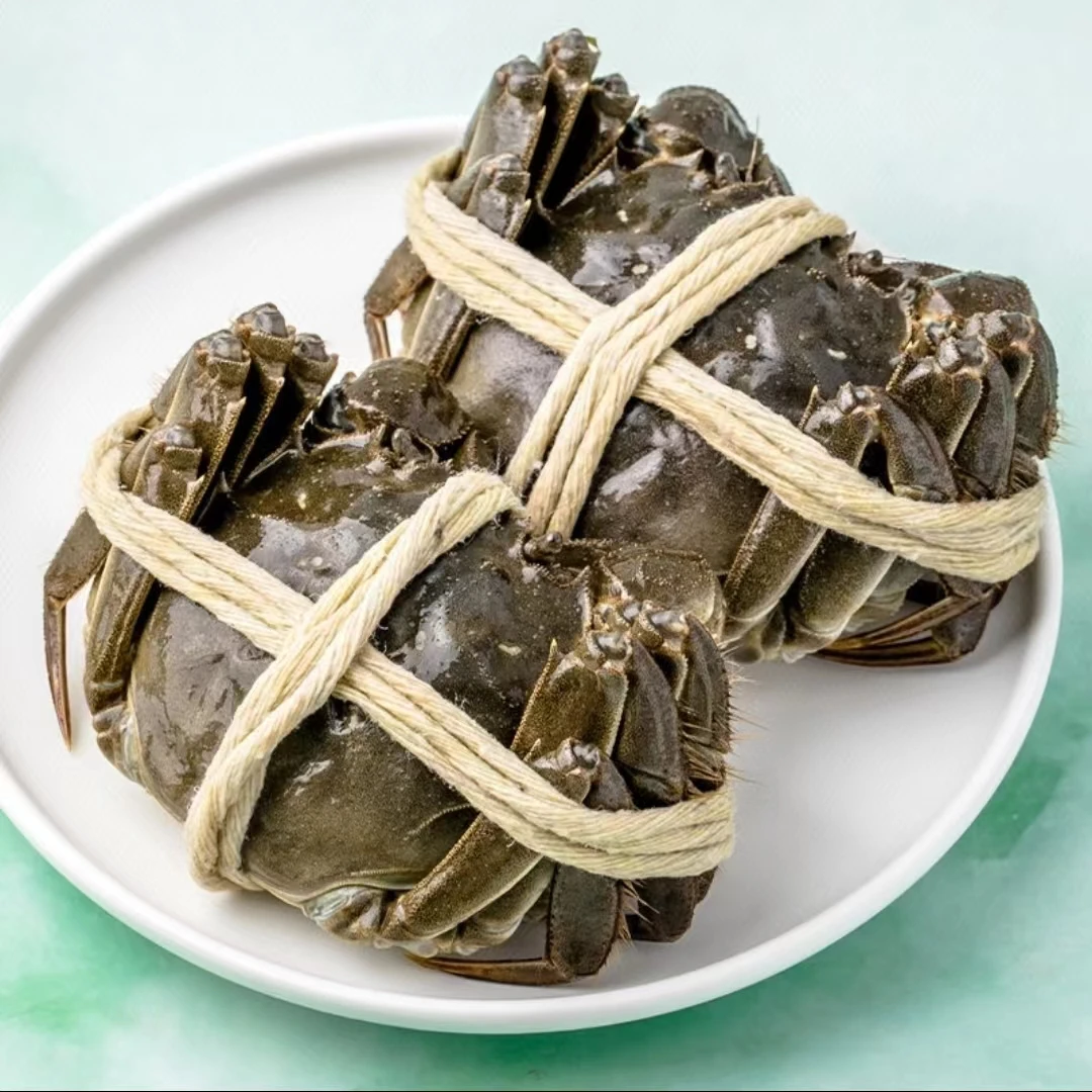 【3两-5两】鲜活江苏大闸蟹 母蟹 3两/4两/4.5两/5两 一只