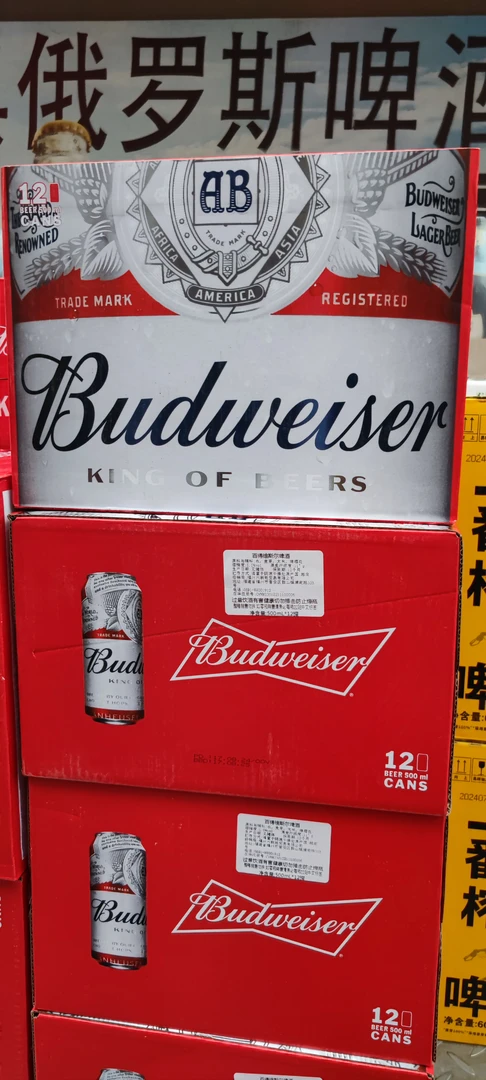 (越南进口百威)百得维斯尔啤酒500ml*12听