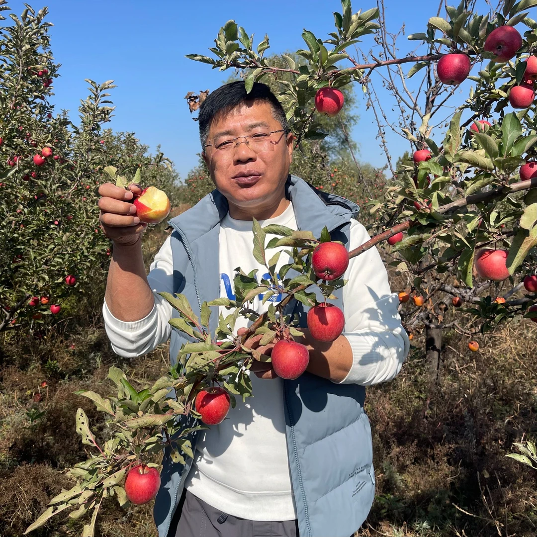 生态丹霞苹果无农残自然成熟口感甜脆多汁5斤装