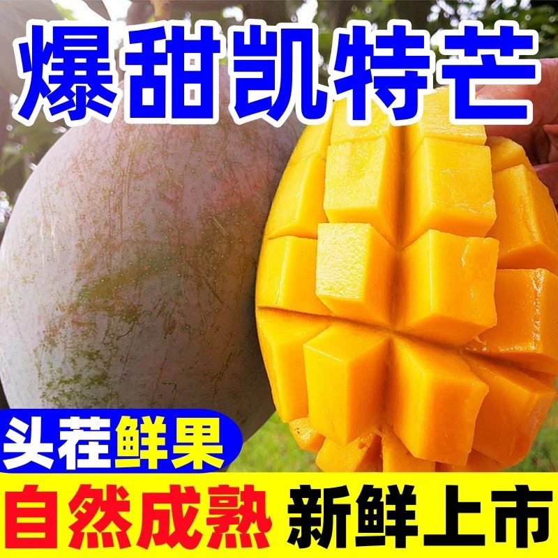 【现摘现发】攀枝花凯特大芒果新鲜水果酸甜多汁肉厚大青芒