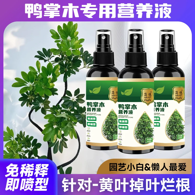 鸭脚木营养液花肥防掉叶干枯黄叶适用肥绿叶盆栽鹅掌木肥料液体肥