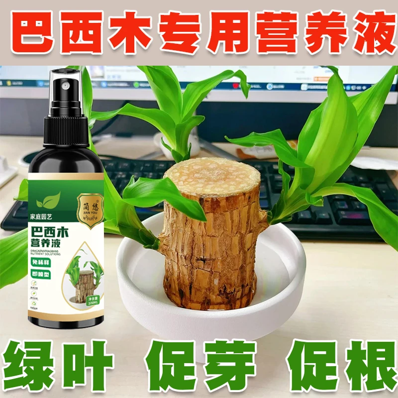 巴西木专用营养液花卉植物水培巴旦木幸运木家用盆栽烂根有机肥料