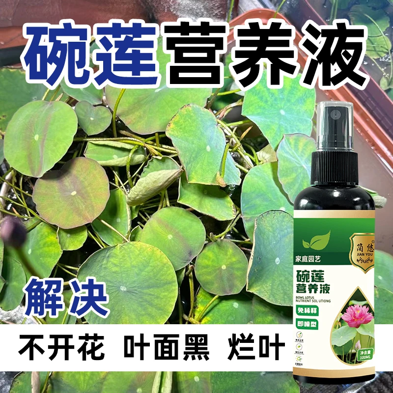 荷叶碗莲营养液防叶黄叶黑烂叶不开花水培促芽水培液体绿植通用肥