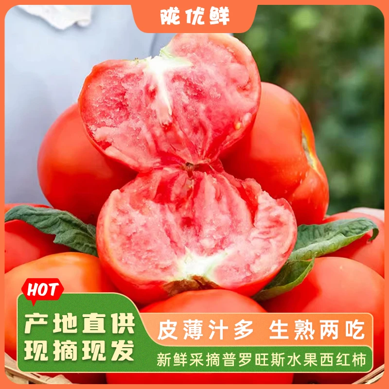 【陇优鲜】普罗旺斯水果西红柿小果/中果/大果 皮薄多汁沙甜美味