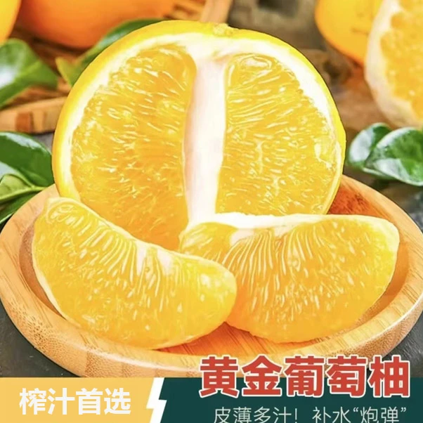 福建平和黄金葡萄柚 果肉多汁甜但不要吃到旁边部位很苦的