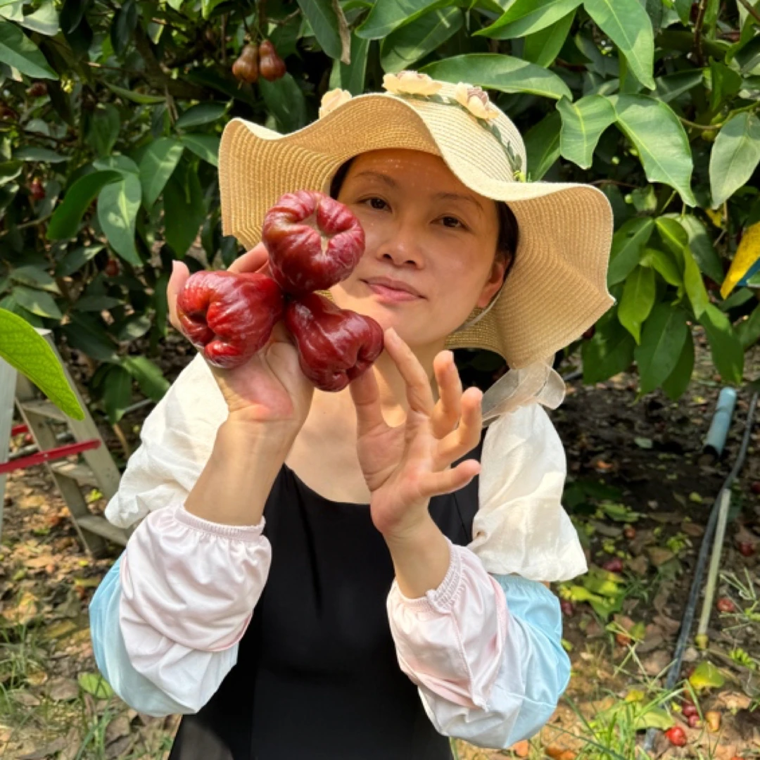 【顺丰空运】海南岛黑金刚莲雾