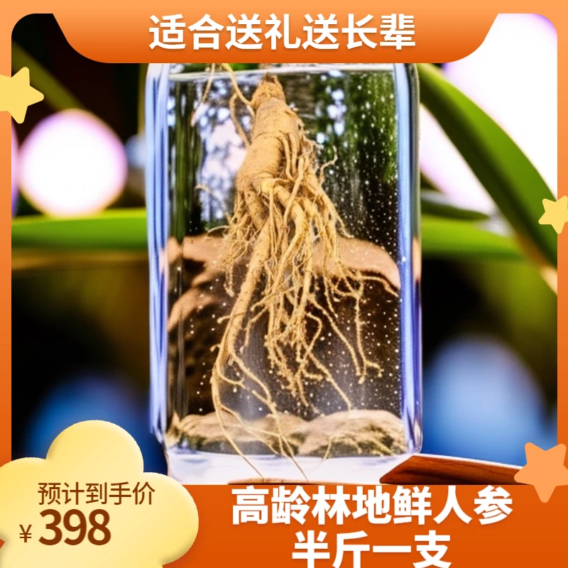 正宗吉林长白山精品特大高龄林地鲜人参半斤一支泡酒送礼送长辈