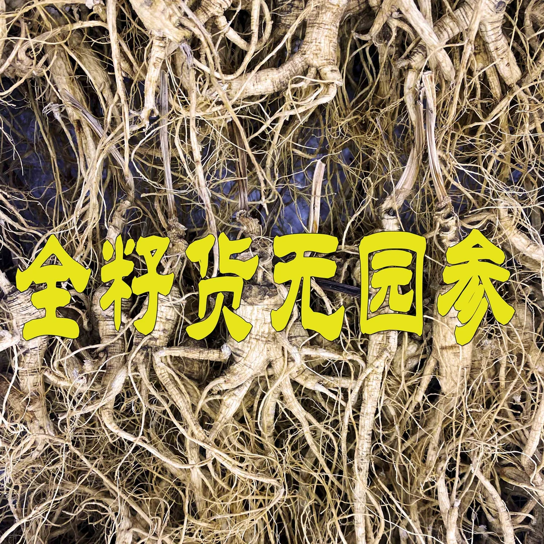 长白山高龄林下参籽货足干老参残参吃货无添加长白山人参