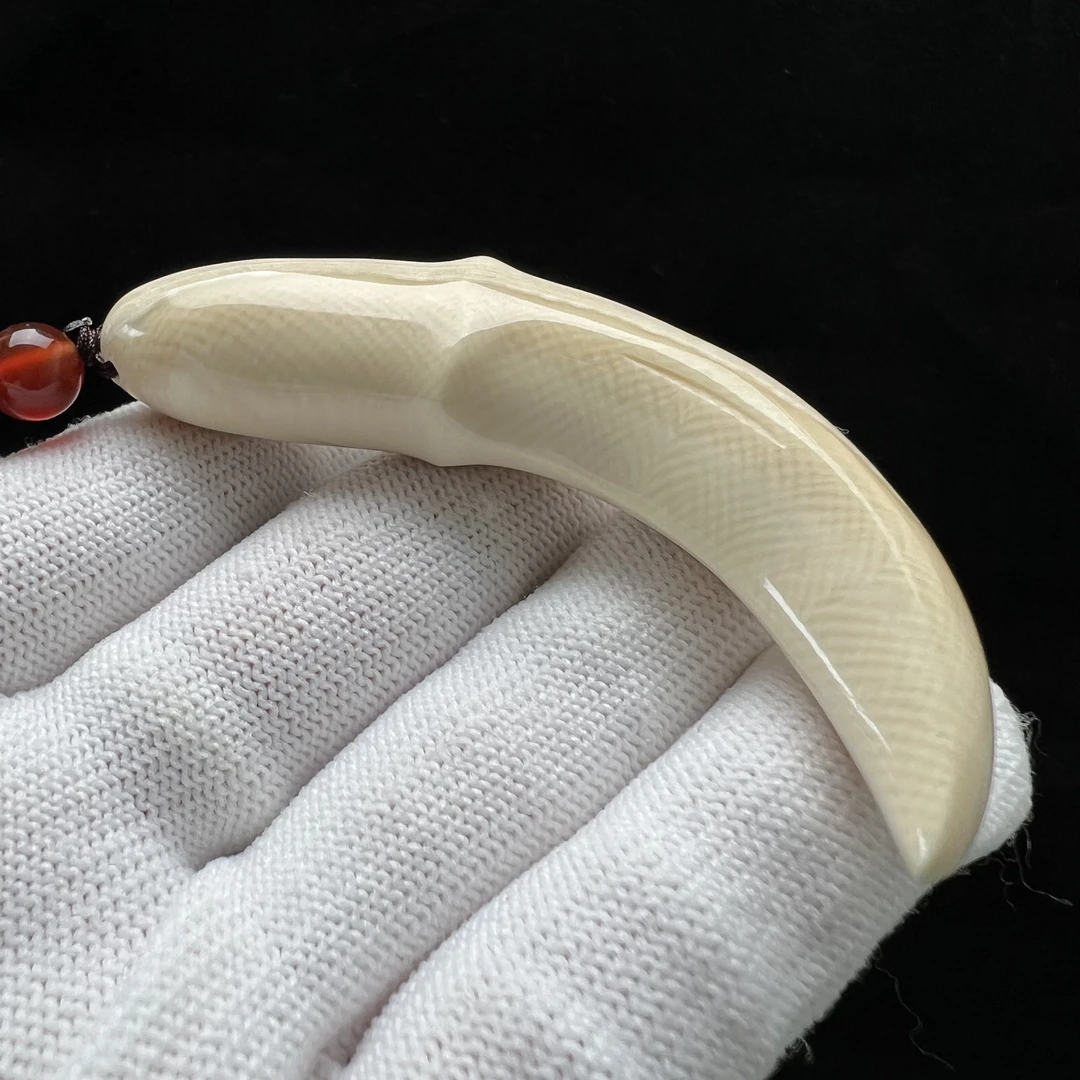 B1185天然猛犸牙雕刻牙尖 13.5*71.5mm支持鉴定 假一罚四