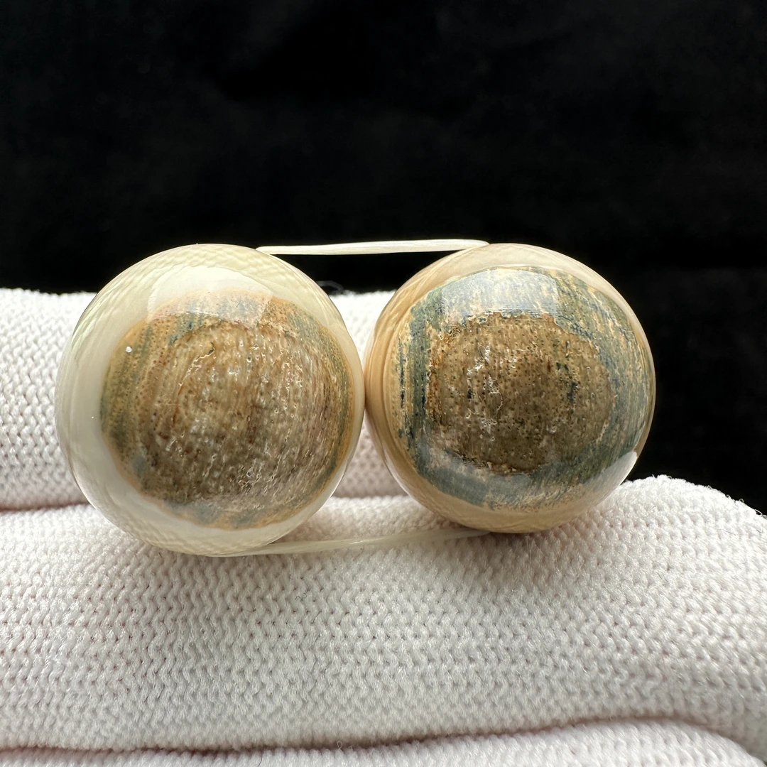 X2821天然猛犸牙 圆珠19+mm 支持鉴定 假一罚四