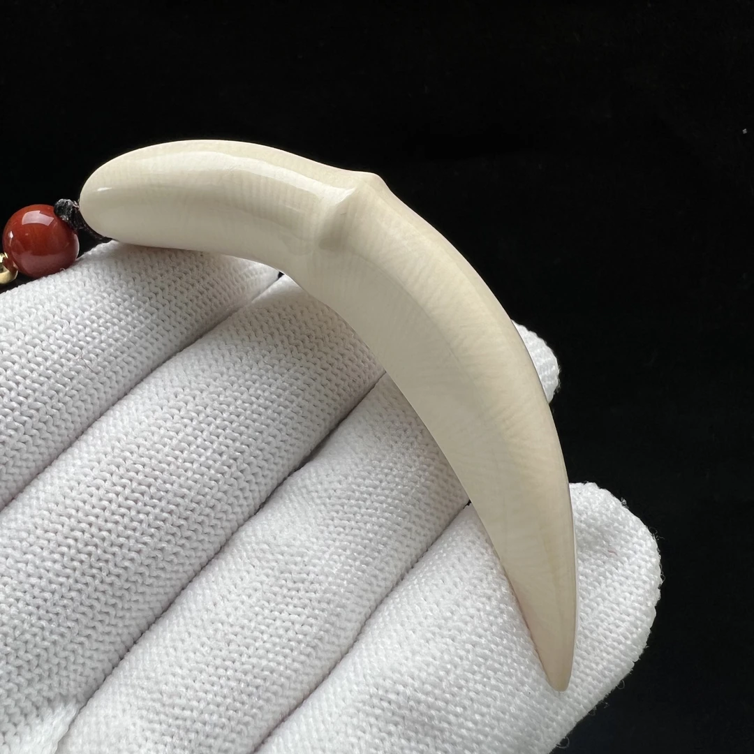 B1069天然猛犸牙雕刻牙尖 69mm支持鉴定 假一罚四