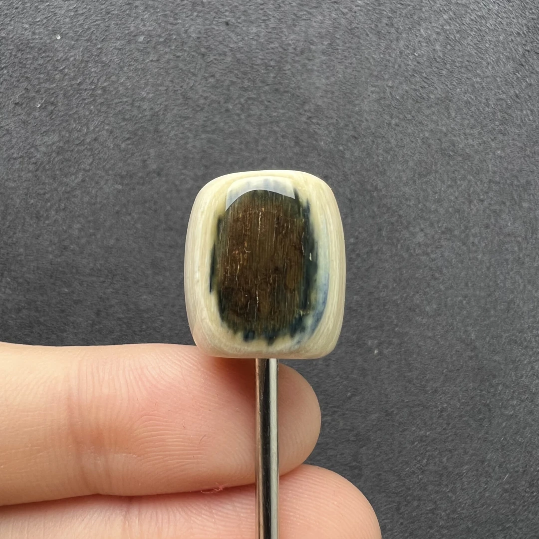 D1777天然猛犸牙蓝眼睛单株15.8*17.5mm支持复检假一罚四